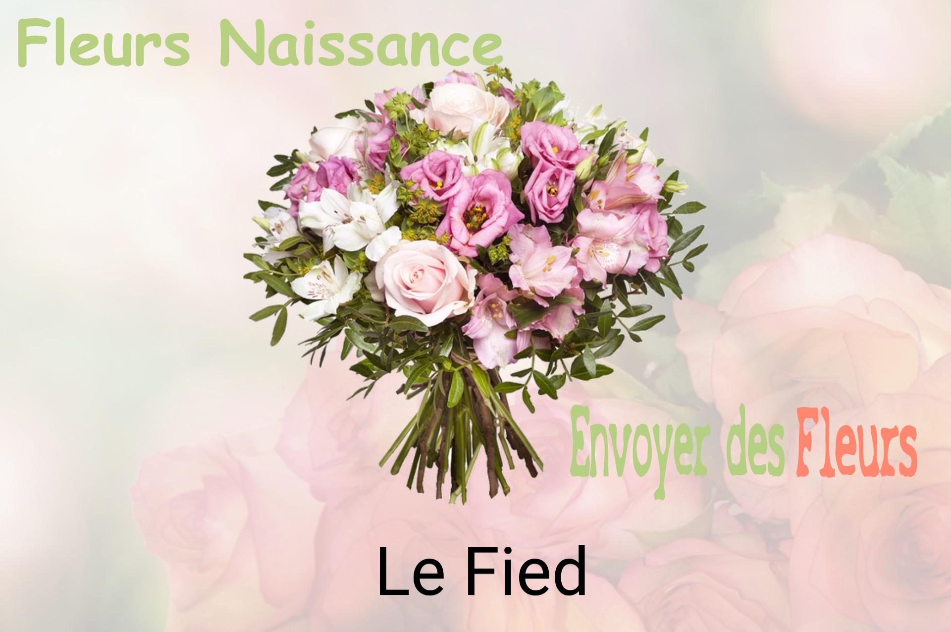 Bouquet de fleurs de naissance livré à Le Fied