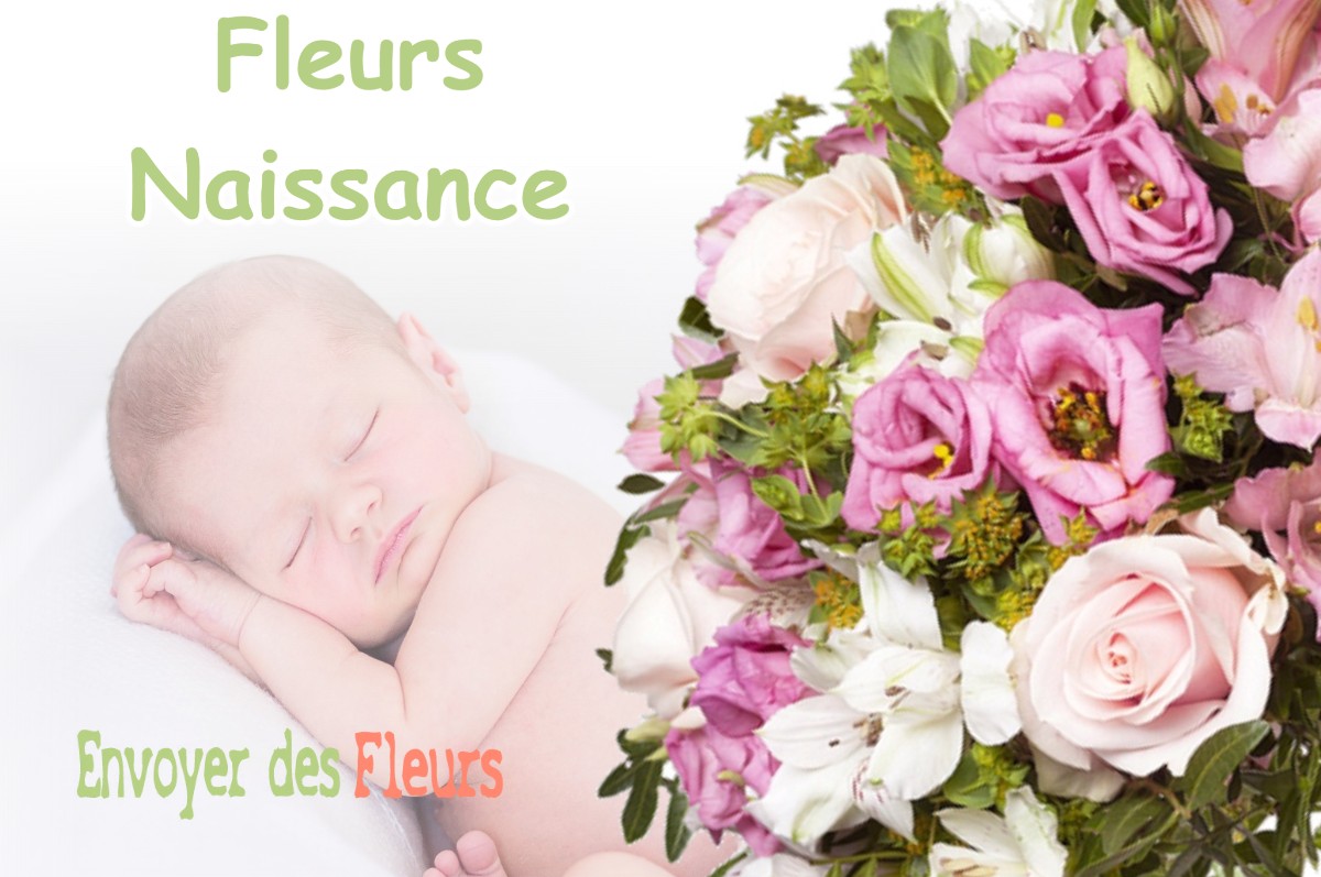 lIVRAISON FLEURS NAISSANCE à LE-FIED